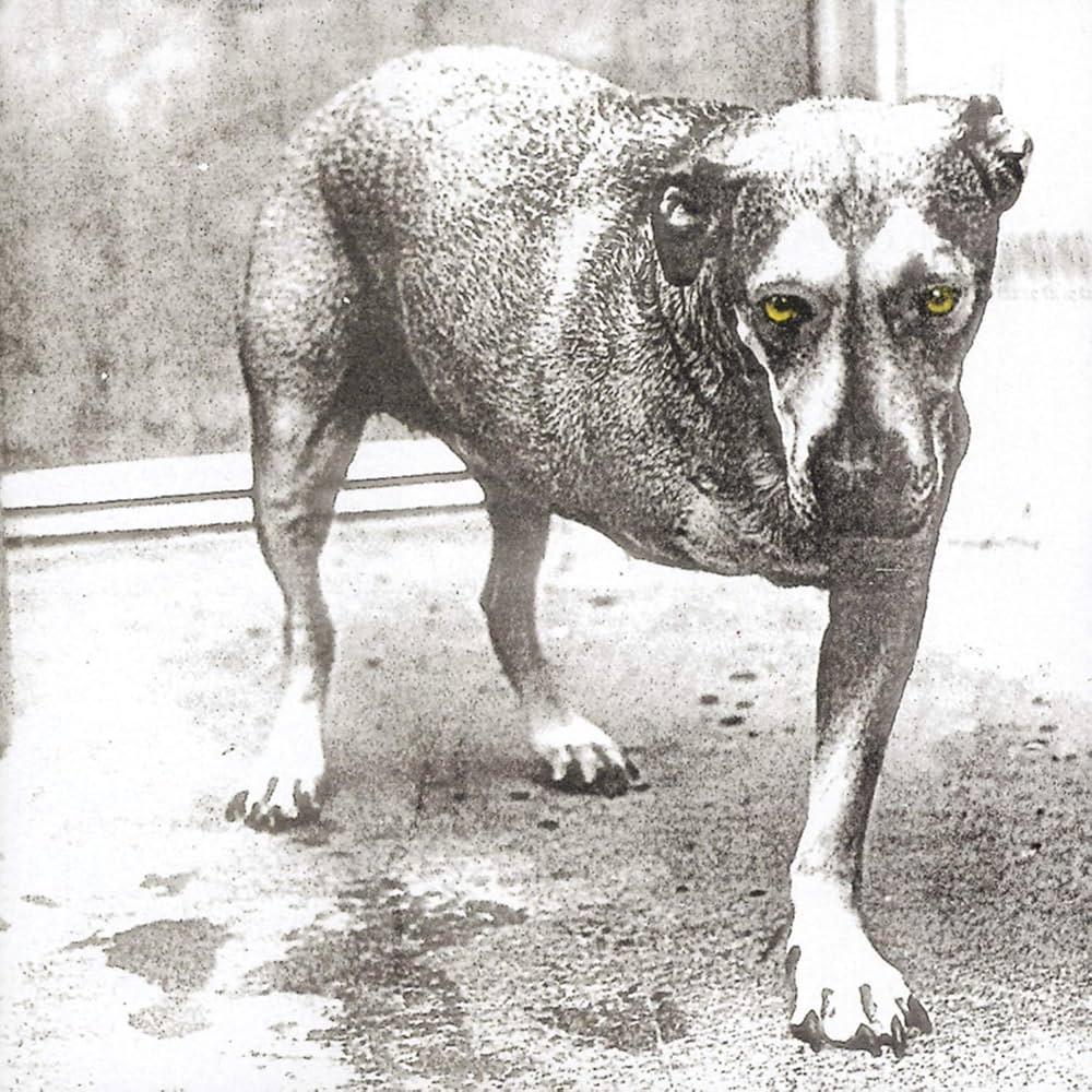ALICE IN CHAINS - Alice In Chains 30th Anniversary Vinyl { vinyl }