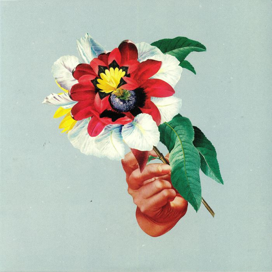MARIBOU STATE - Kingdoms In Colour Vinyl { vinyl }