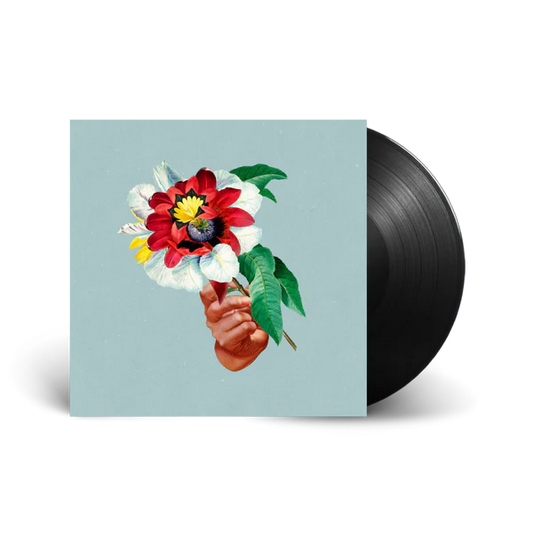 MARIBOU STATE - Kingdoms In Colour Vinyl { vinyl }
