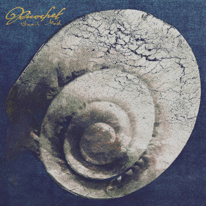 SNAIL MAIL - Ricochet Vinyl