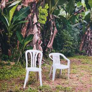 BAD BUNNY - Debi Tirar Mas Fotos Vinyl { vinyl }