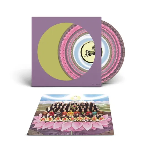 GEORGE HARRISON - Dark Horse RSD26 Vinyl { vinyl }