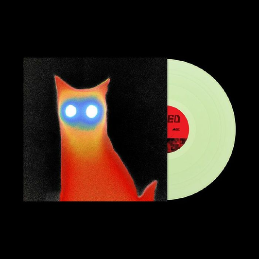 BASEMENT - Wired Vinyl
