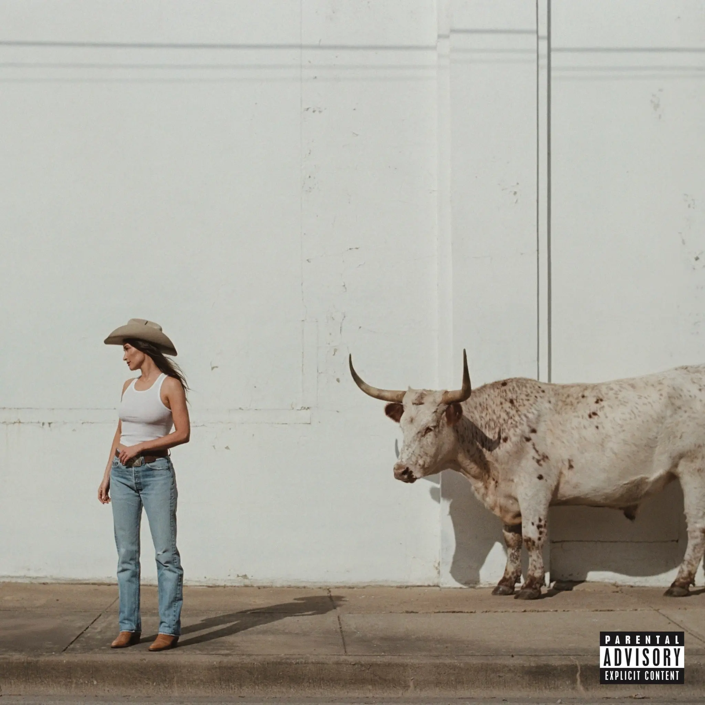 KACEY MUSGRAVES - Middle Of Nowhere Vinyl { vinyl }