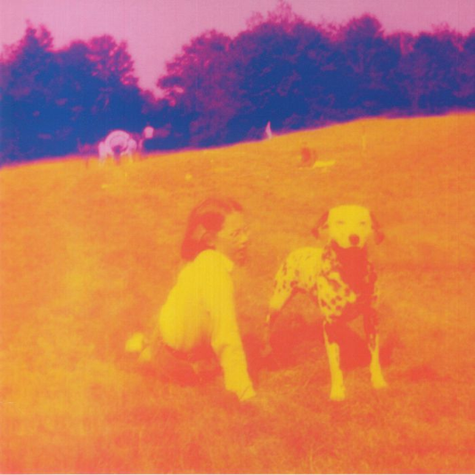 EELS - Blinking Lights & Other Revelations Vinyl