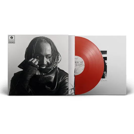THUNDERCAT - Distracted Vinyl