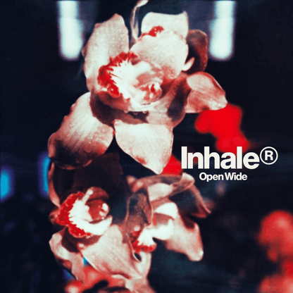 INHALER - Open Wide Vinyl { vinyl }