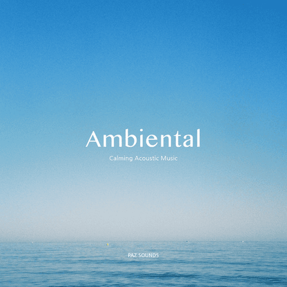 PAZ SOUNDS - Ambiental EP Vinyl { vinyl }