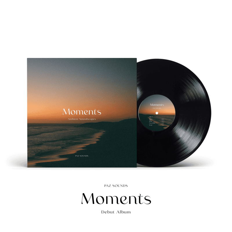 PAZ SOUNDS - Moments Vinyl { vinyl }