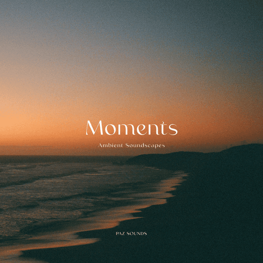 PAZ SOUNDS - Moments Vinyl { vinyl }