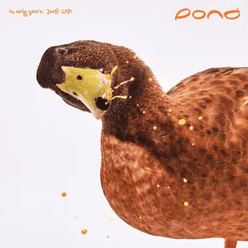 POND - The Early Years 2008 - 2010 RSD25 Vinyl