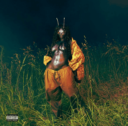 SZA - SOS Deluxe: Lana 4LP Vinyl { vinyl }