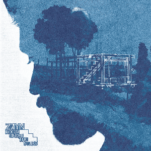 ZAYN - Room Under The Stairs Vinyl { vinyl }